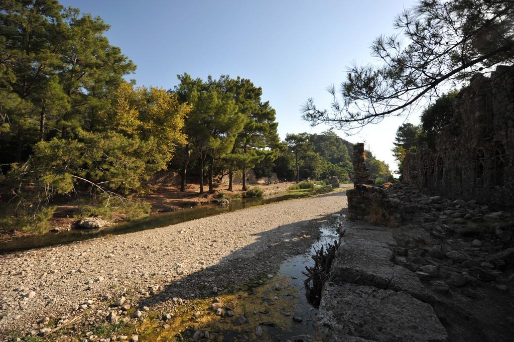 Olympos Koyevi Countryhouse Exterior foto